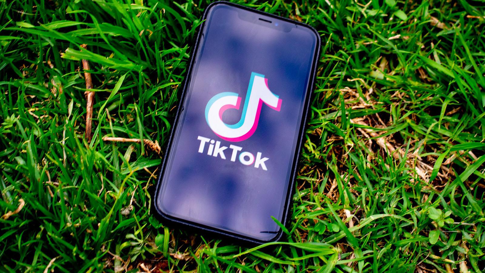 Is There Any Profit If You Buy Tiktok Likes? post thumbnail image