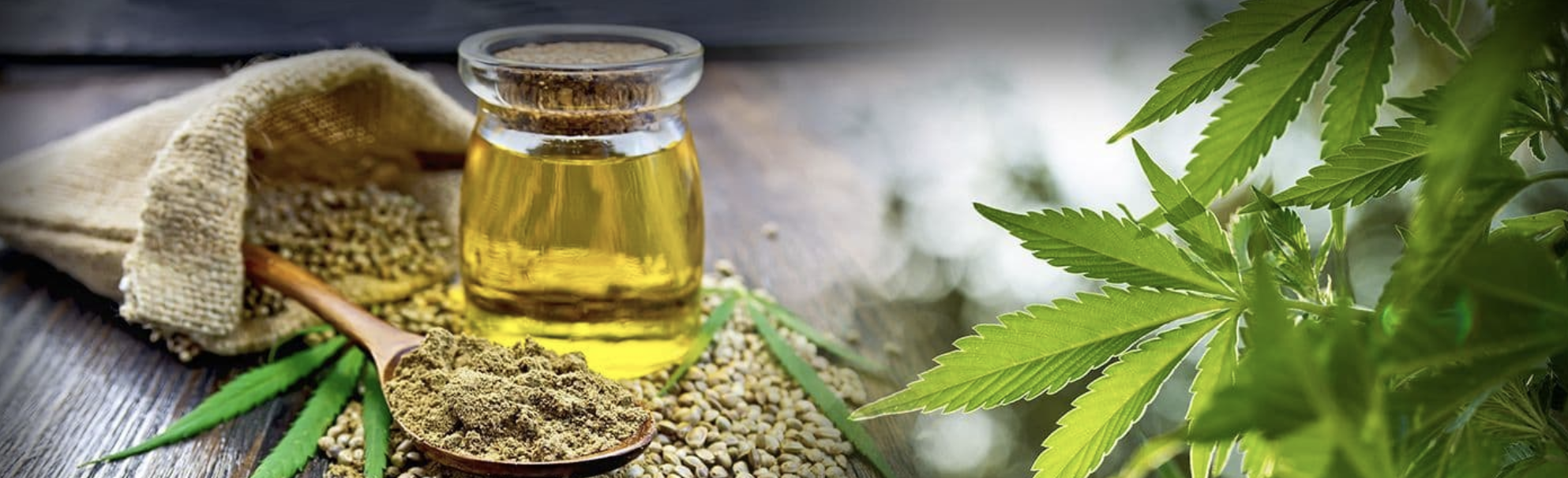 Can Isolates Be Beneficial If You Search To Buy CBD Oil Adelaide? post thumbnail image