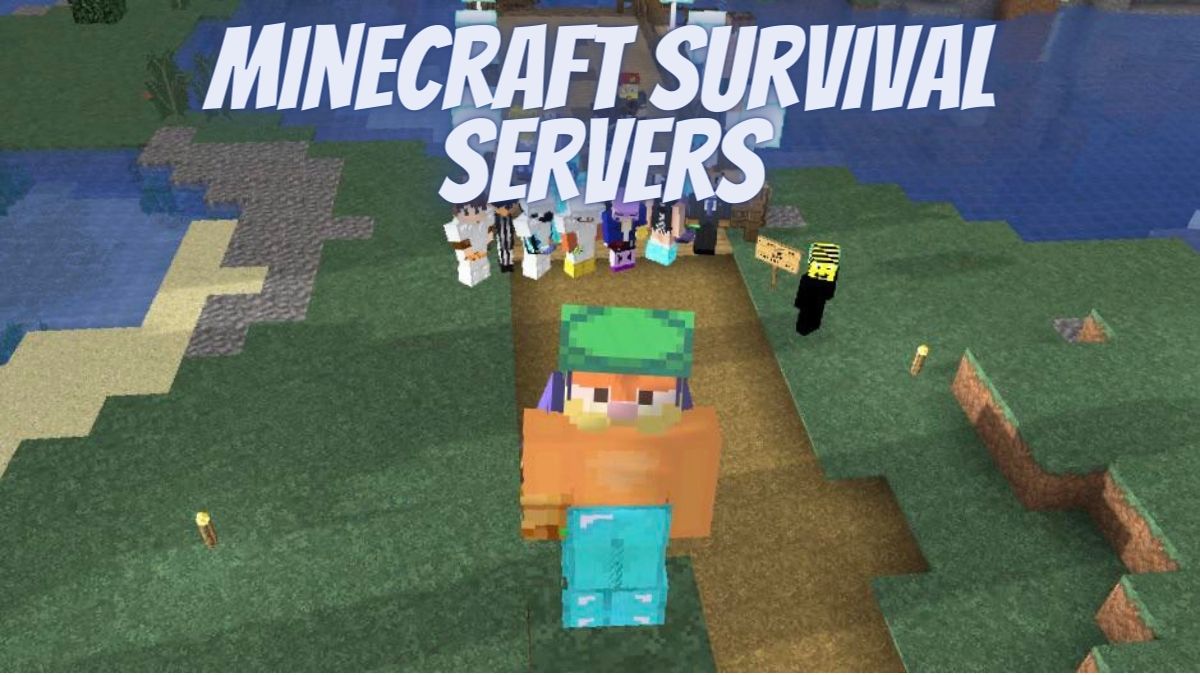 A guide to the factors that affect the popularity of the servers post thumbnail image