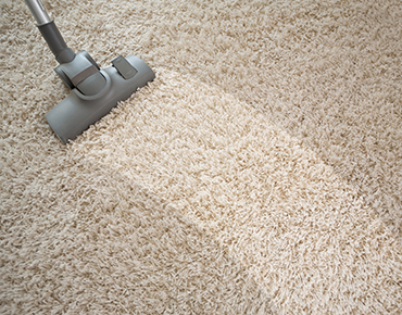 Services offered by carpet cleaning Murray post thumbnail image