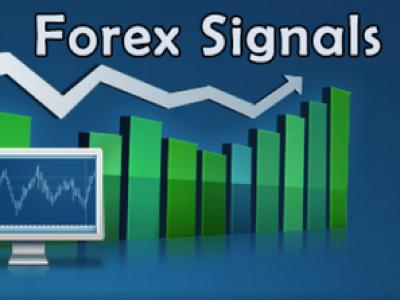 How To Find The Best Forex Currency Trading Program? post thumbnail image